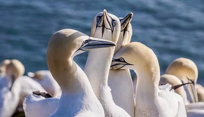 秀我中国|“苏超”泰州队队员殷国斌:有些热爱,永远不会过期!